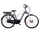 中国 注文の電気バイク250wを通した都市黒いステップ積載量120のKgの 輸出国